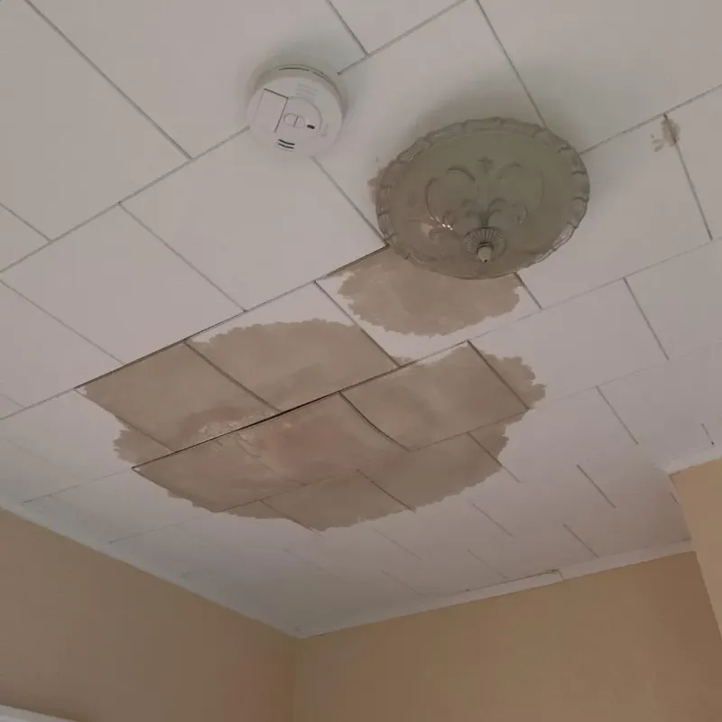 Ceiling Water Damage Repair in Union, MS