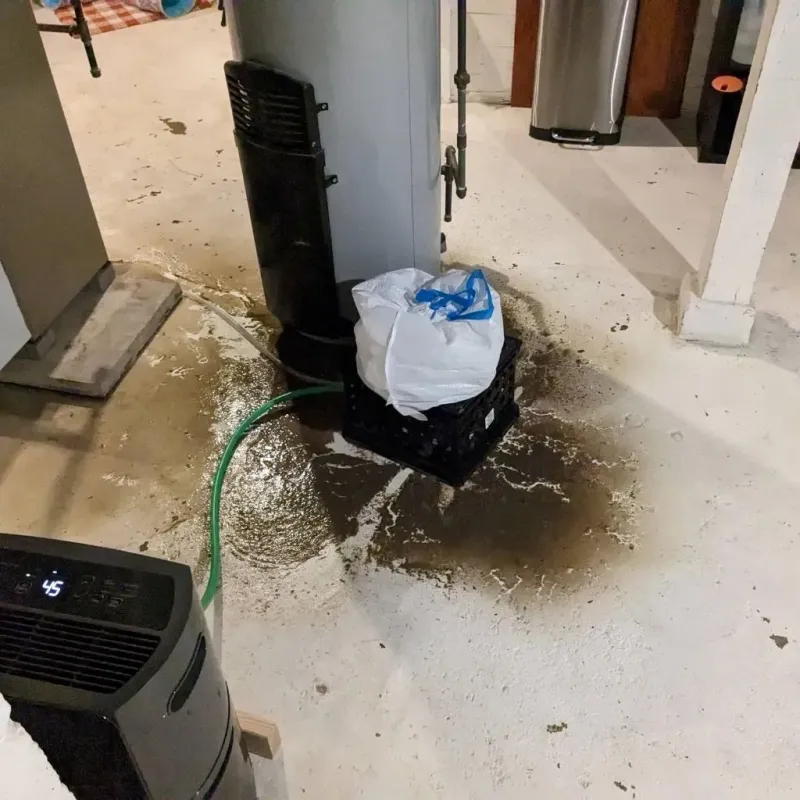Sewage Backup Cleanup Service in Union, MS